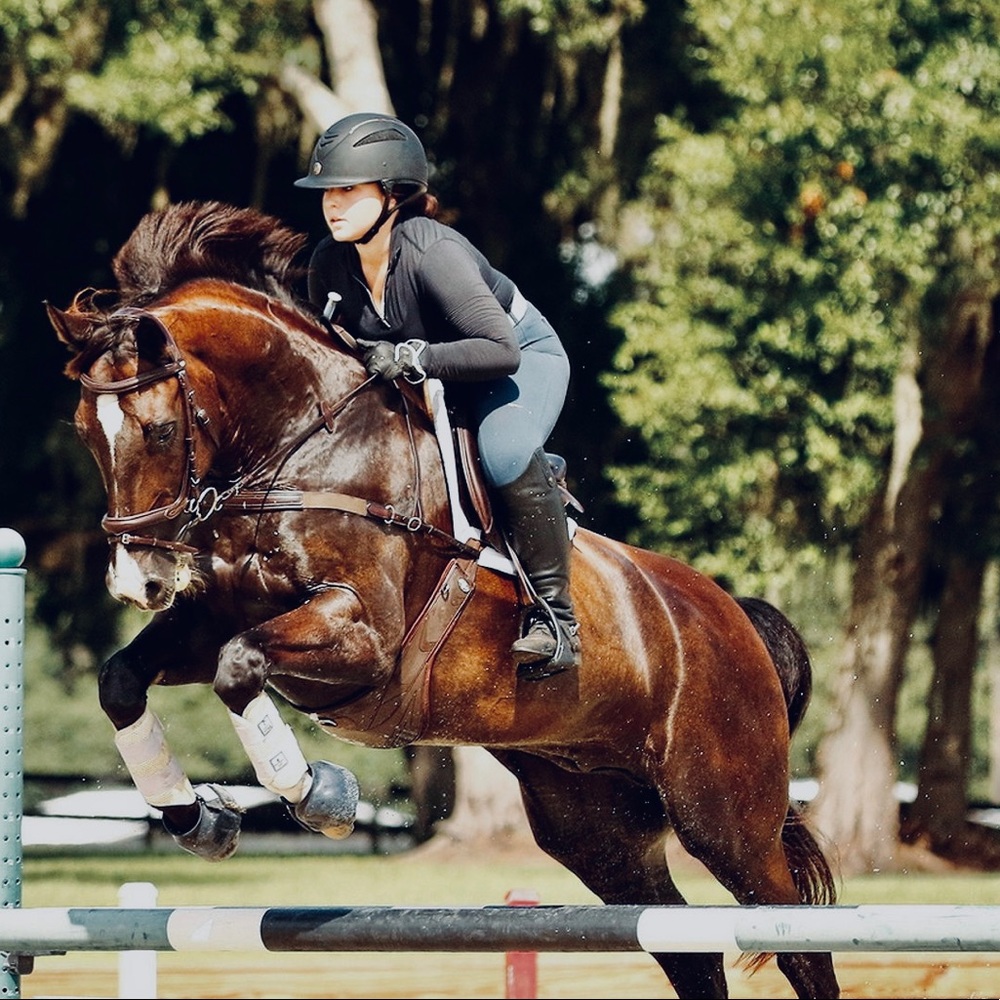 Any interest in equestrian equipment and clothing?